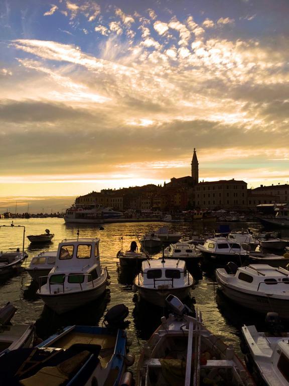 Superb Townhouse Villa Montalbano Rovinj Eksteriør billede